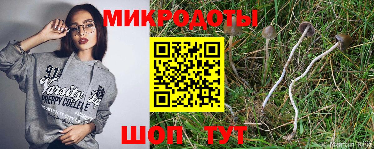 Псилоцибиновые грибы Psilocybine cubensis  Вход с VPN  Галлюциногенные грибы ЛСД  Ялуторовск 