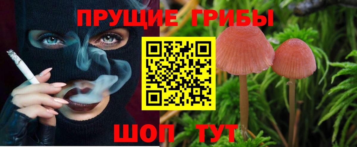 Галлюциногенные грибы прущие грибы Ялуторовск